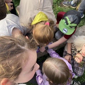 Dubnová oddílovka 2025