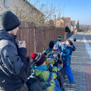 Havrani na divokém západě