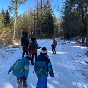 Havrani na divokém západě