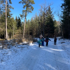 Havrani na divokém západě