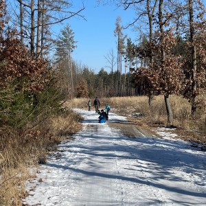 Havrani na divokém západě