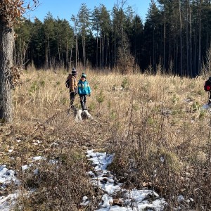Havrani na divokém západě
