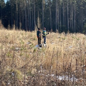 Havrani na divokém západě