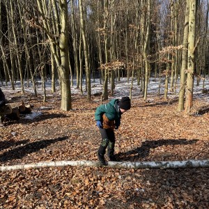 Havrani na divokém západě