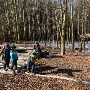 Havrani na divokém západě