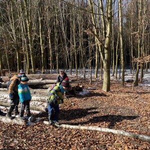 Havrani na divokém západě