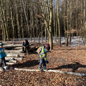 Havrani na divokém západě