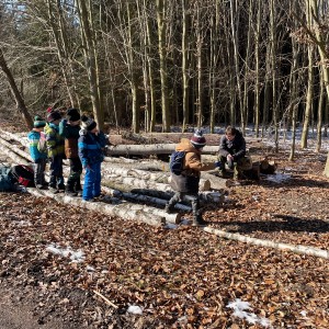 Havrani na divokém západě