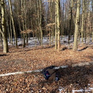 Havrani na divokém západě