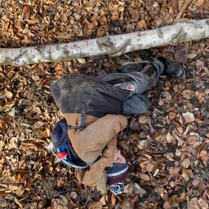 Havrani na divokém západě