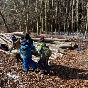 Havrani na divokém západě