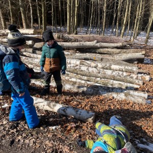 Havrani na divokém západě