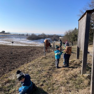 Havrani na divokém západě