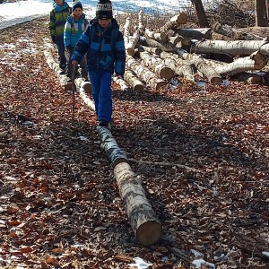 Havrani na divokém západě