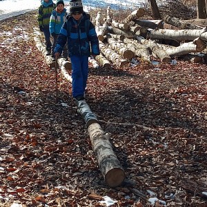 Havrani na divokém západě