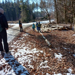 Havrani na divokém západě