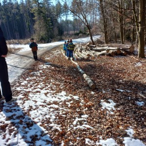 Havrani na divokém západě
