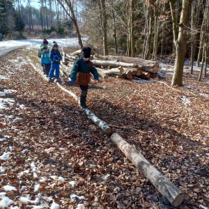 Havrani na divokém západě