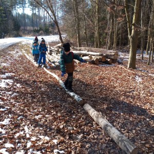 Havrani na divokém západě