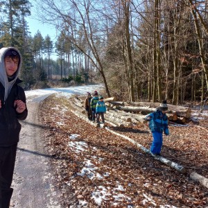 Havrani na divokém západě