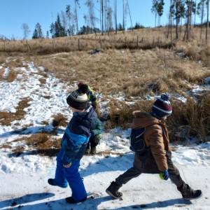 Havrani na divokém západě