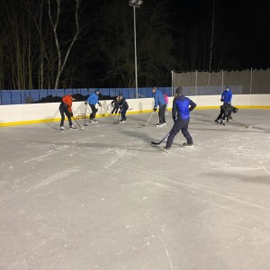 Hukvaldská oddílovka na ledě