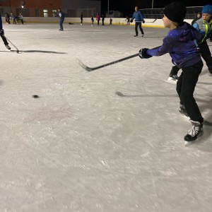 Hukvaldská oddílovka na ledě