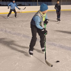 Hukvaldská oddílovka na ledě