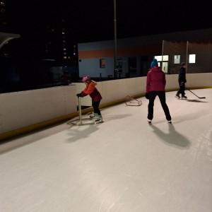 Hukvaldská oddílovka na ledě