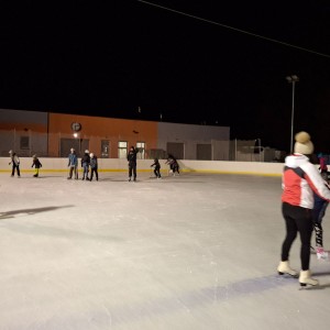 Hukvaldská oddílovka na ledě