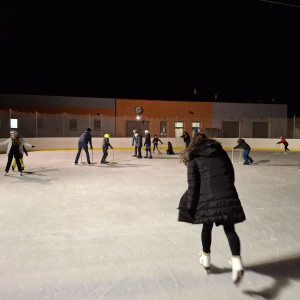Hukvaldská oddílovka na ledě