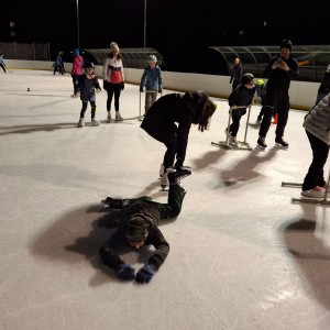 Hukvaldská oddílovka na ledě