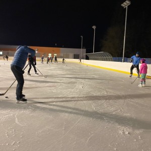 Hukvaldská oddílovka na ledě