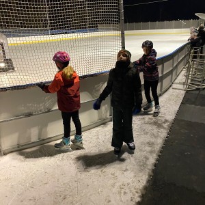 Hukvaldská oddílovka na ledě