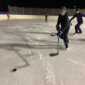 Hukvaldská oddílovka na ledě