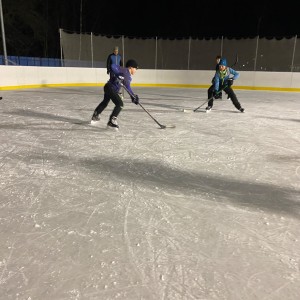 Hukvaldská oddílovka na ledě