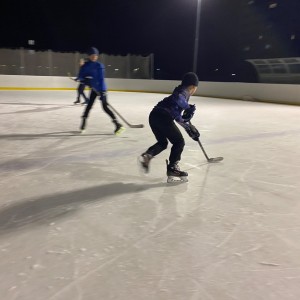 Hukvaldská oddílovka na ledě