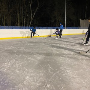 Hukvaldská oddílovka na ledě