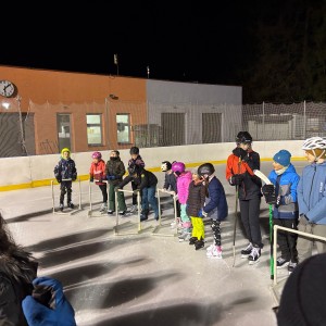 Hukvaldská oddílovka na ledě