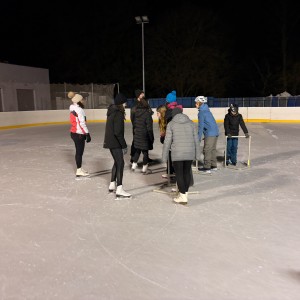 Hukvaldská oddílovka na ledě