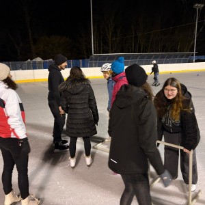 Hukvaldská oddílovka na ledě