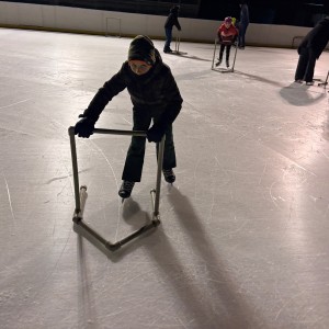 Hukvaldská oddílovka na ledě
