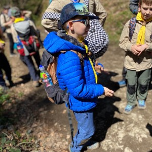 Ivančena 2025 - Pandy, Kocouři, Sokoli