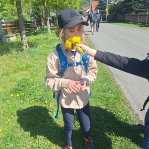 Ivančena 2025 - Pandy, Kocouři, Sokoli