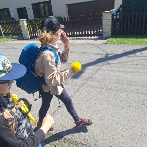 Ivančena 2025 - Pandy, Kocouři, Sokoli