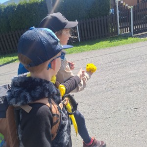 Ivančena 2025 - Pandy, Kocouři, Sokoli