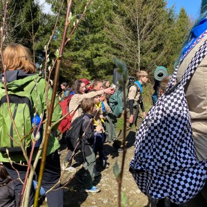 Ivančena 2025 - Pandy, Kocouři, Sokoli