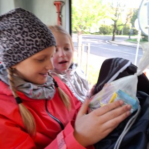 Ivančena 2025 - Pandy, Kocouři, Sokoli