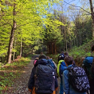 Ivančena 2025 - Pandy, Kocouři, Sokoli