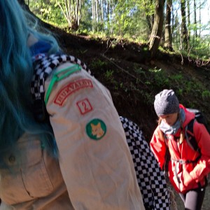 Ivančena 2025 - Pandy, Kocouři, Sokoli